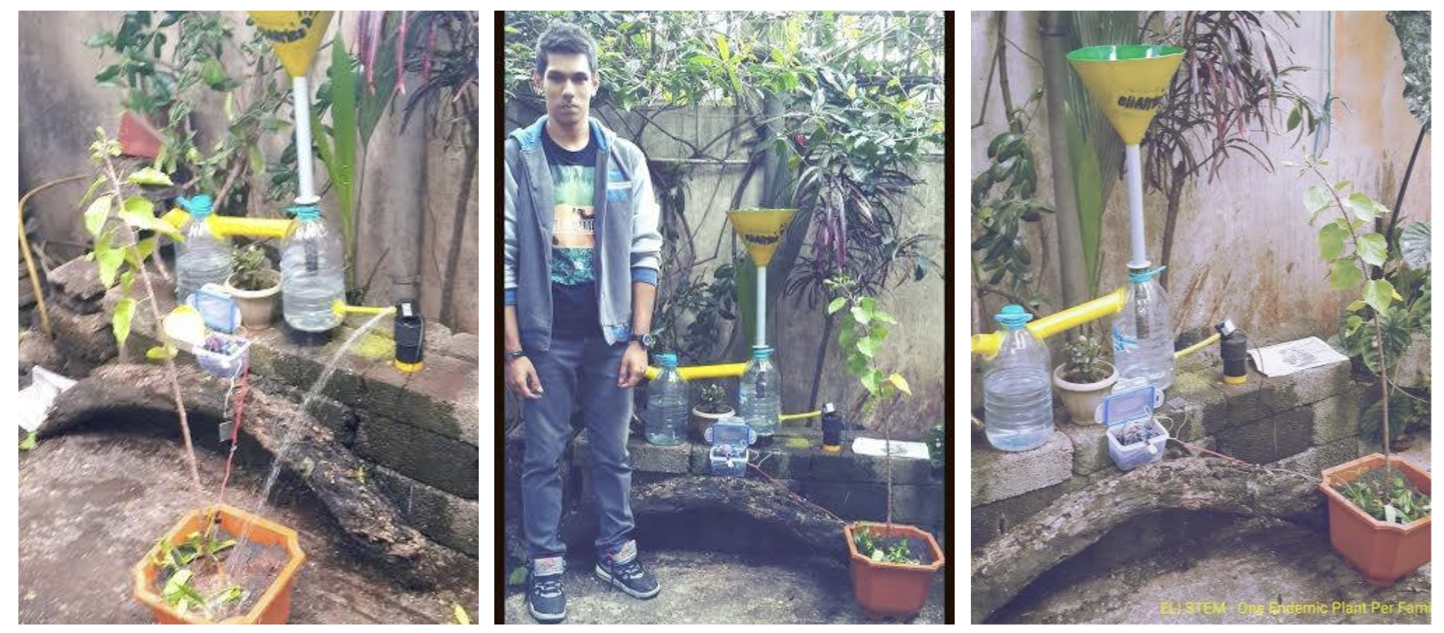 Food Order Processing System